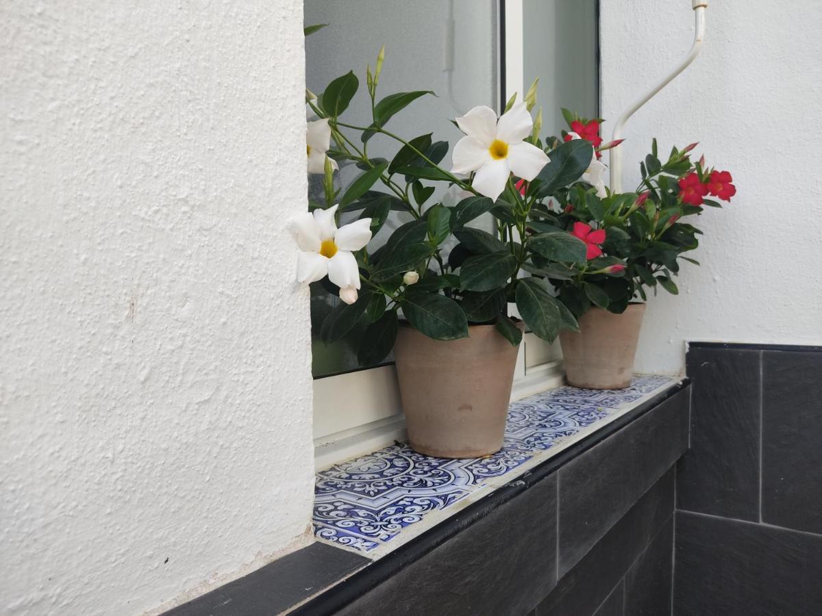 Apartamento 700 Metros De La Playa Playa Flamenca Exterior foto